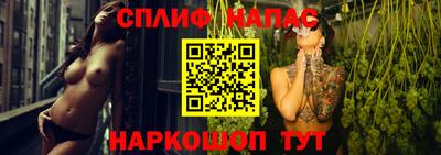 spice Кунгур