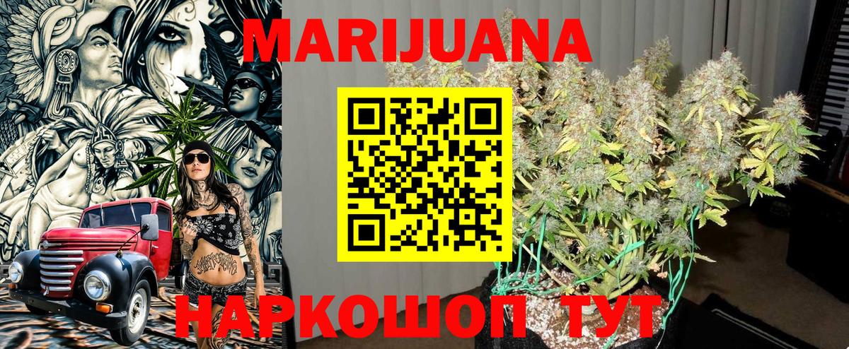 МАРИХУАНА сатива Ейск